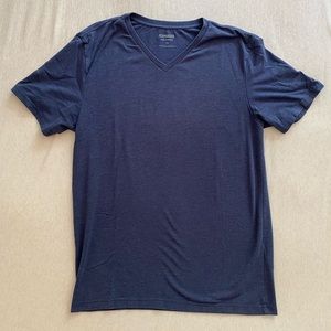 Express Dark Blue V-Neck T-Shirt